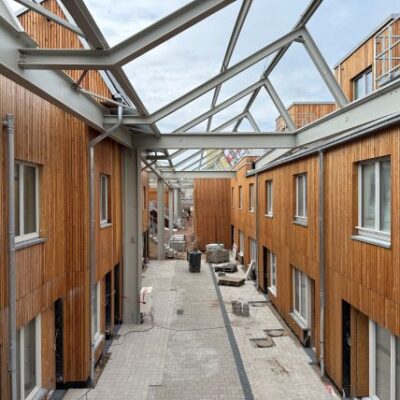 B1113_250926_Sheddachhalle-3 B1113_250926_Sheddachhalle-3